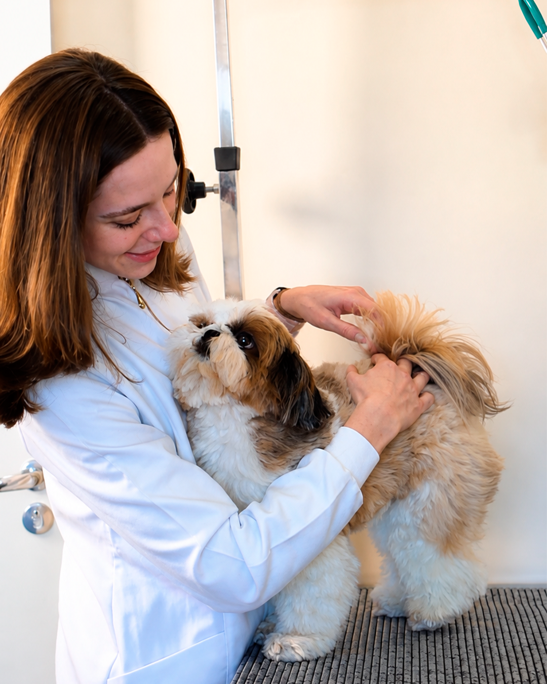 Atendimento Veterinário